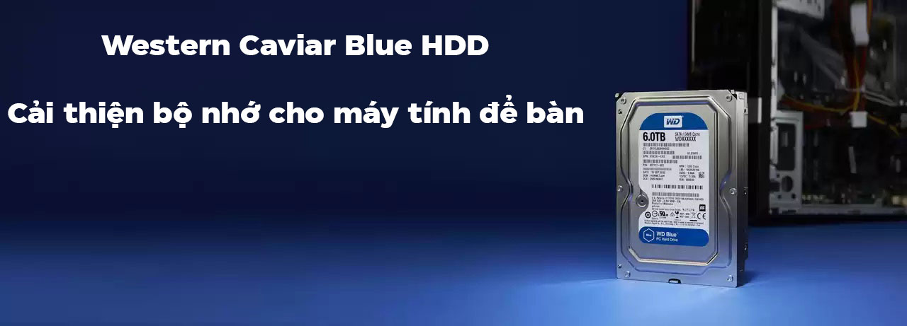 HDD Western Caviar Blue 1TB 3.5 inch 7200RPM