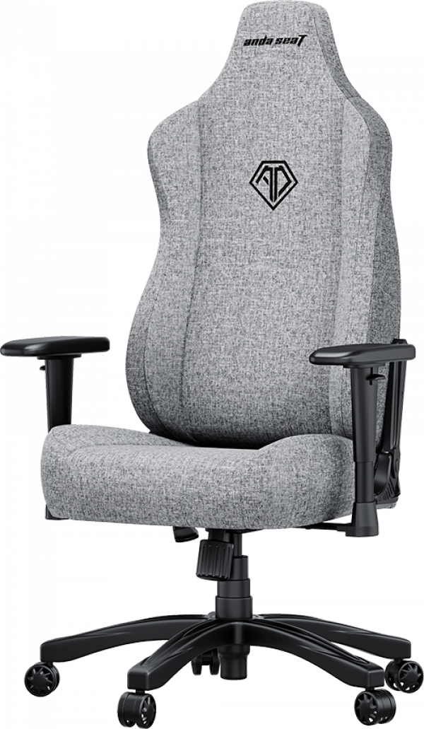 Ghế Gaming AndaSeat Novis Grey Fabric AD23-L-01-G-F