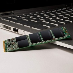 m2SSD Adata SU800 256GB M.2 (Doc 560MB/s, Ghi 520MB/s)