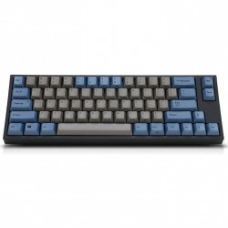 Keyboard Leopold FC980M PD PBT Doubleshot Blue switch Blue-Grey