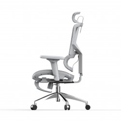 Ghế công thái học Sihoo M90B (có kê chân)