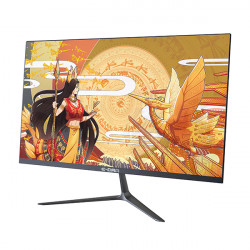 Màn hình Gaming E-Dra EGM24F1 (23.8inch /FHD /IPS /144Hz /1ms /250nits /HDMI+DP+USB+Audio)